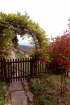 Arbor with view vertical