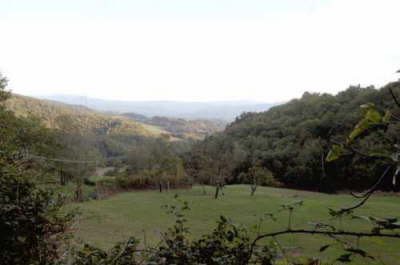 Valley view